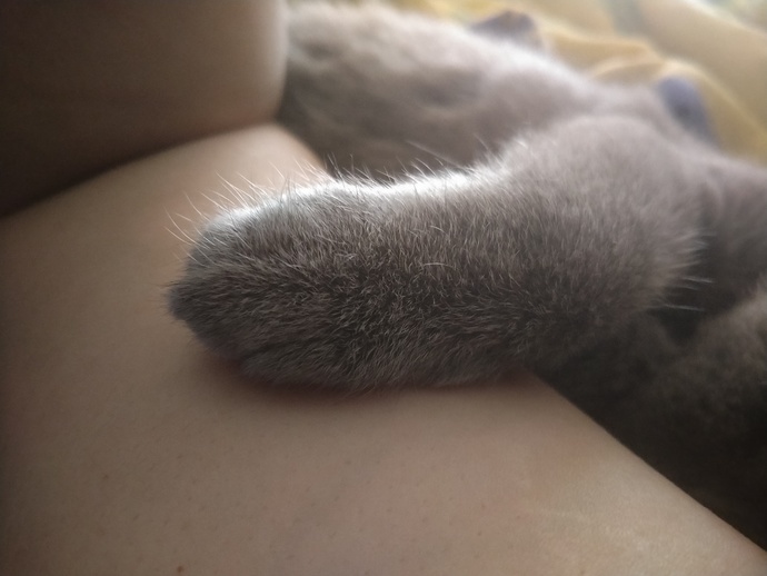 🥺🥺🥺