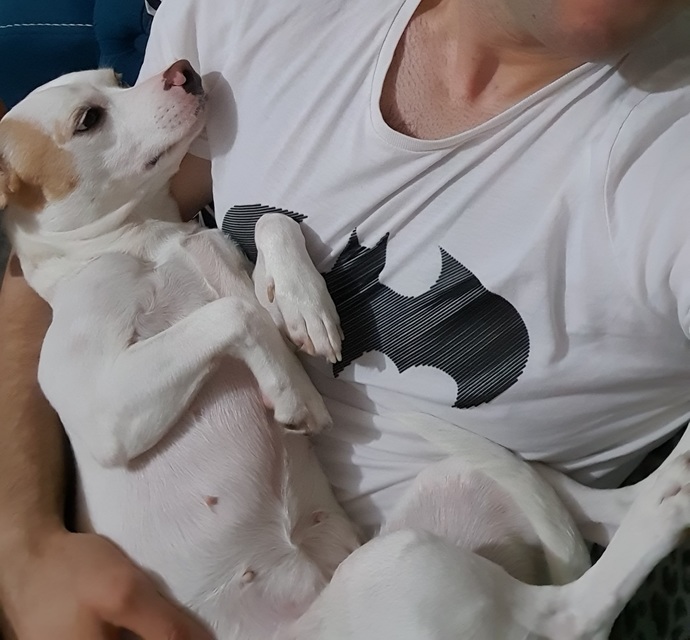 Sabah sabah sizi ne mutlu ederdi?