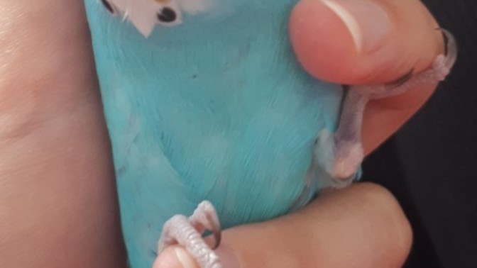 Sabah sabah sizi ne mutlu ederdi?