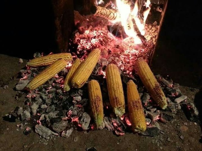 Mısırın en güzel hali sana göre hangisi?