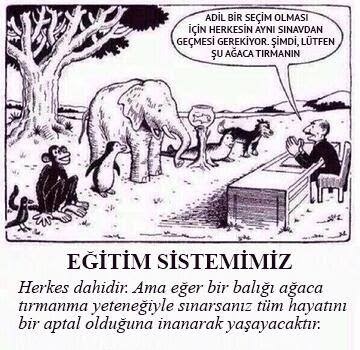 Bahçeli: Gelin şu sınavları kaldıralım! Sence üniversite sınavları kaldırılmalı mı?