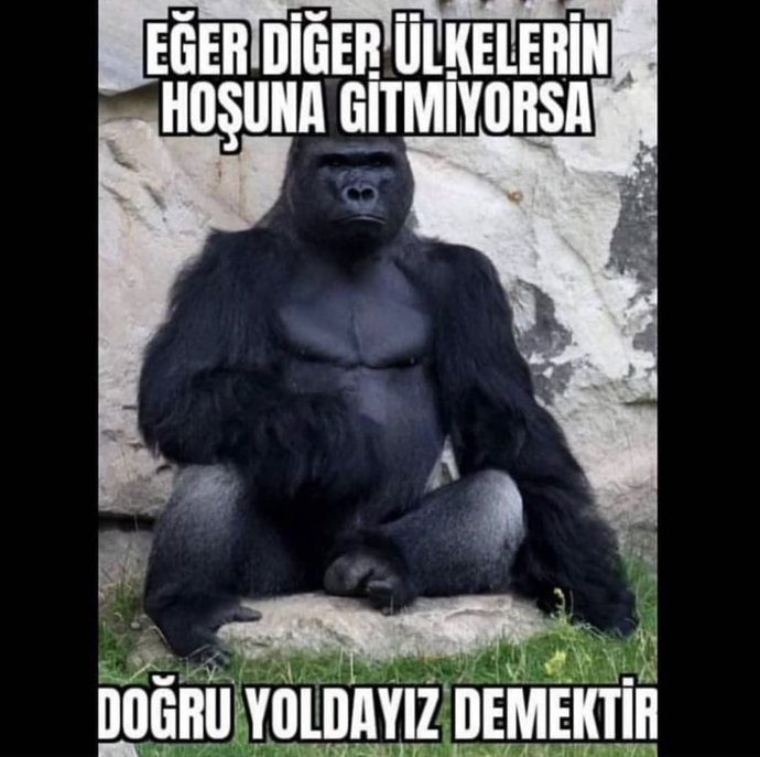 Tayyip Erdoğanın dindar nesil projesi ne kadar başarılı oldu?