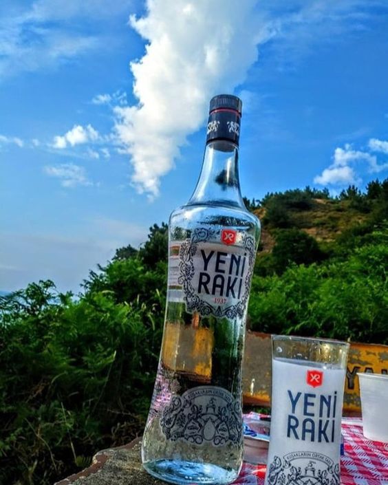 İlk kez alkol alacağım , sizce ne içeyim?