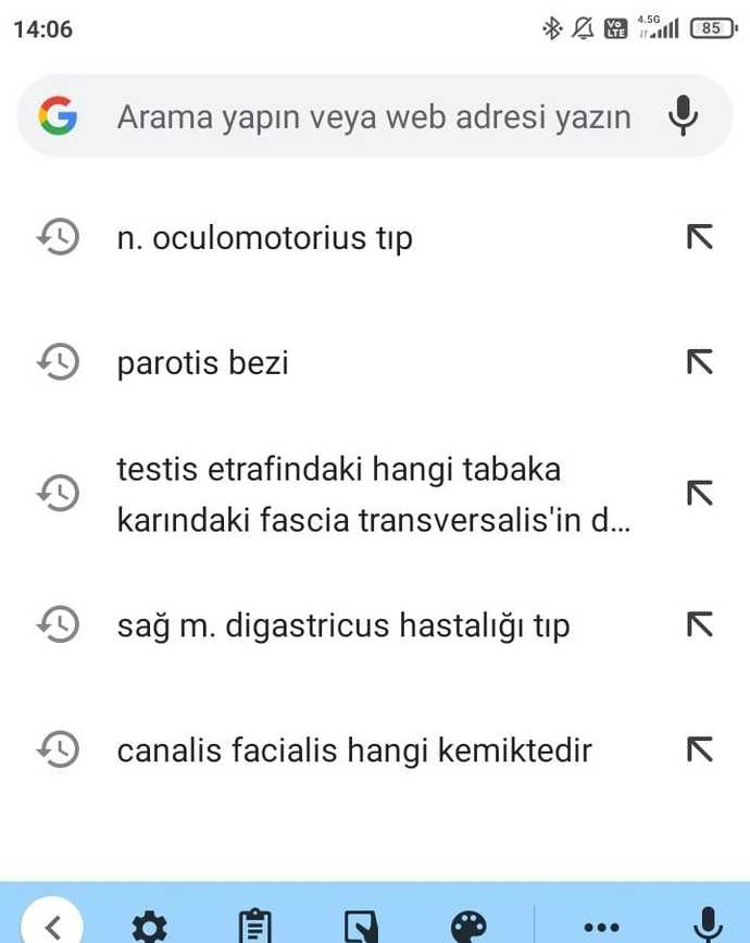 Google'da en son ne aradınız?