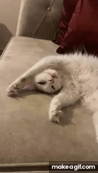 Neee yapıyorsunuz?