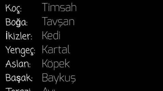 Burcuna göre hangi hayvansın?