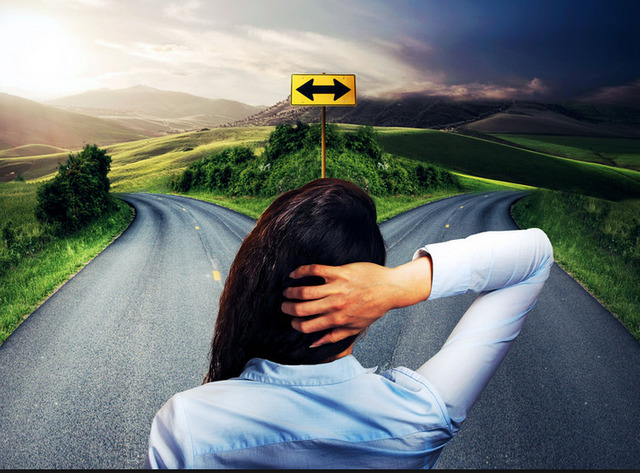 Meslek seçiminde neye dikkat edersiniz?