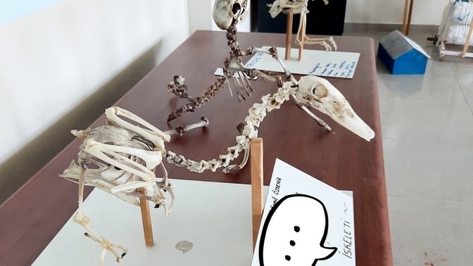 Günaydınnnn iş yerinizden foto atın haydii🥳?