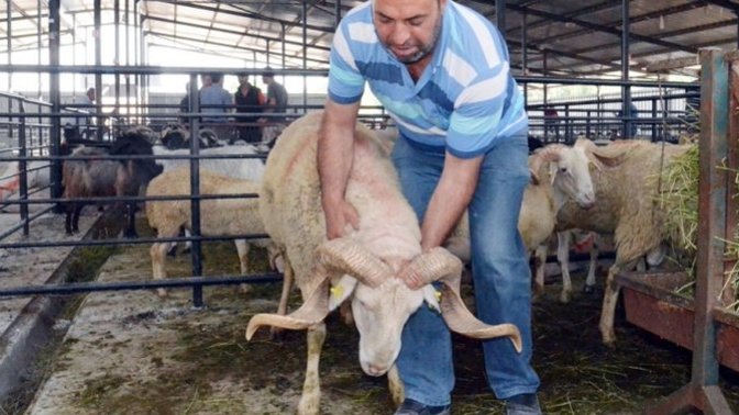 Kayın pederim kurban kanlı kıyafetlerini önüme attı, hamileyim, kustum diye kızdı, kurban kanı nasıl temizlenir?