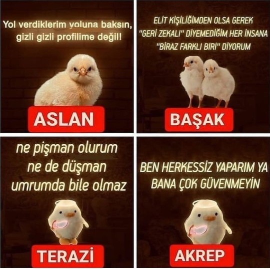 Buyurun gelin en iyisi burda burcunuz ne demiş acaba?
