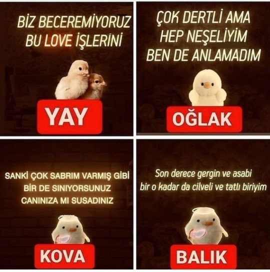 Buyurun gelin en iyisi burda burcunuz ne demiş acaba?