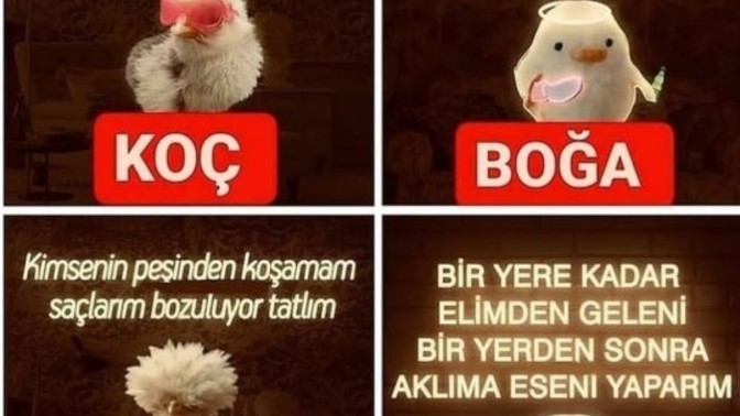 Buyurun gelin en iyisi burda burcunuz ne demiş acaba?
