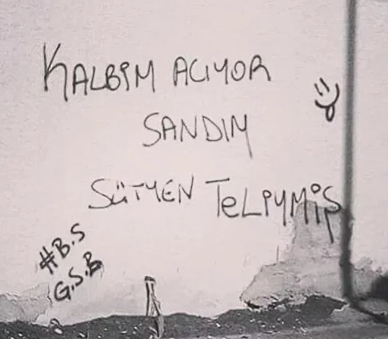 Senin burcunun duvar yazısı hangisi?