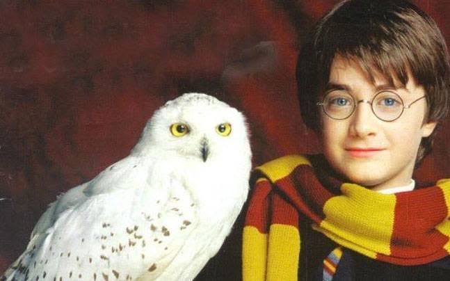 Harry Potter serisindeki hangi karakterin ölümüne daha çok üzüldünüz?