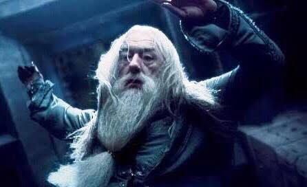 Harry Potter serisindeki hangi karakterin ölümüne daha çok üzüldünüz?