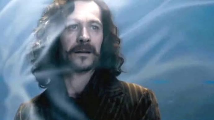 Harry Potter serisindeki hangi karakterin ölümüne daha çok üzüldünüz?