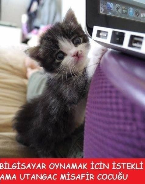 Bilgisayar ve telefon takıntısı olan misafir çocuğuna bilgisayar ve telefonunuzu verir misiniz?