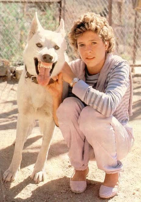 kristy mcnichol 1961 doğumlu film yıldızı 80leriin yıldızı beyaz köpek filminden kare