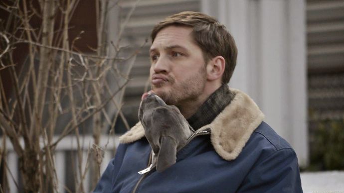 En iyi Tom Hardy filmi sence hangisi?