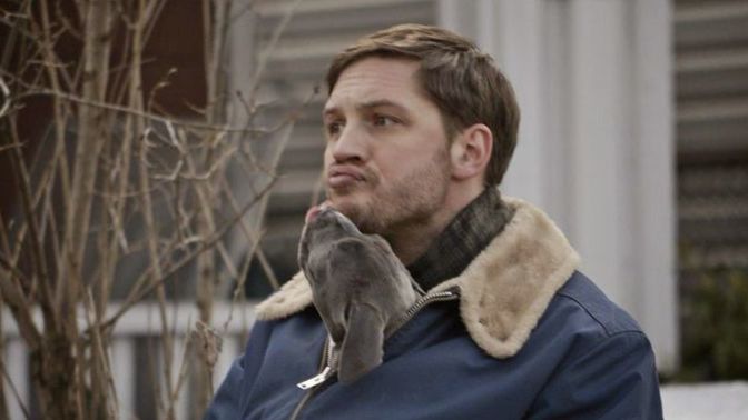 En iyi Tom Hardy filmi sence hangisi?