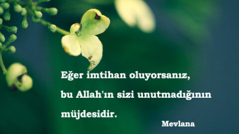Neden kötü şeyler hep üst üste gelir?