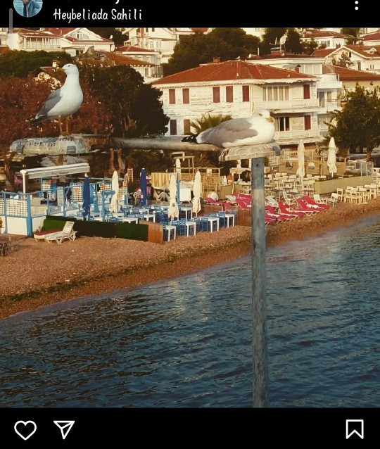 ADALAR DA HANGİ PLAJ GÜZEL (HEYBELİADA, BÜYÜKADA) ?