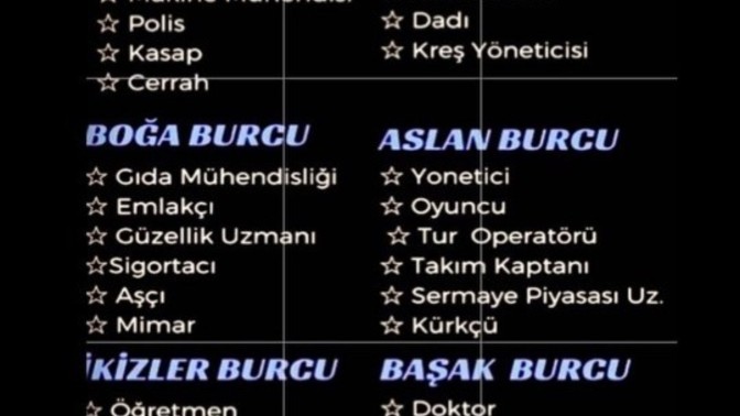 Burcuna yakışan meslek hangisi?