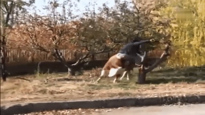 Değişik bayram mesajları örnek verir misiniz?