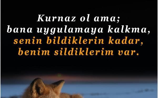Cin olmadan adam çarpmayın. 😄✌