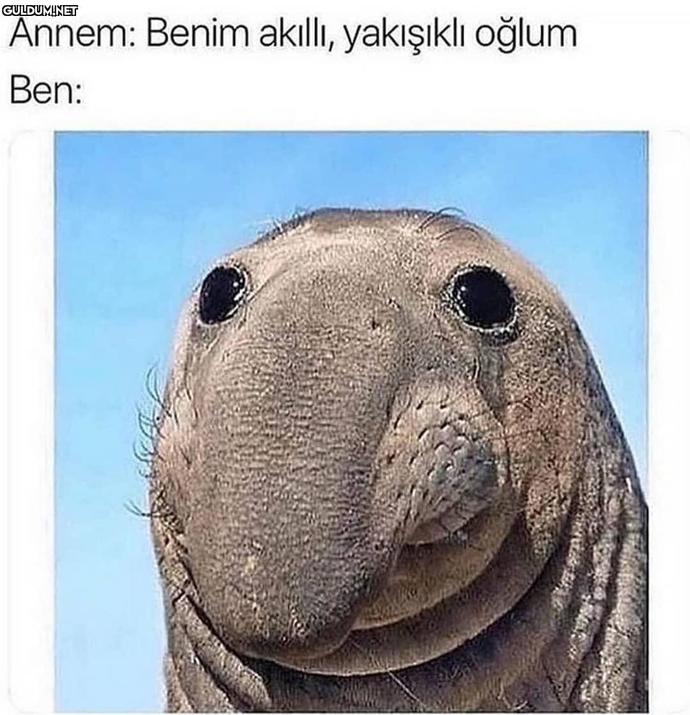 Sevdiğiniz veya size yakın olan insanlar size iltifat ettiğinde tepkiniz nasıl oluyor?