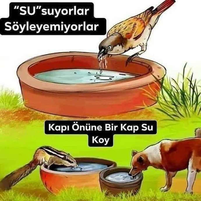 Hayvanları seviyor musun, bugün hayvanlar için ne yaptın?