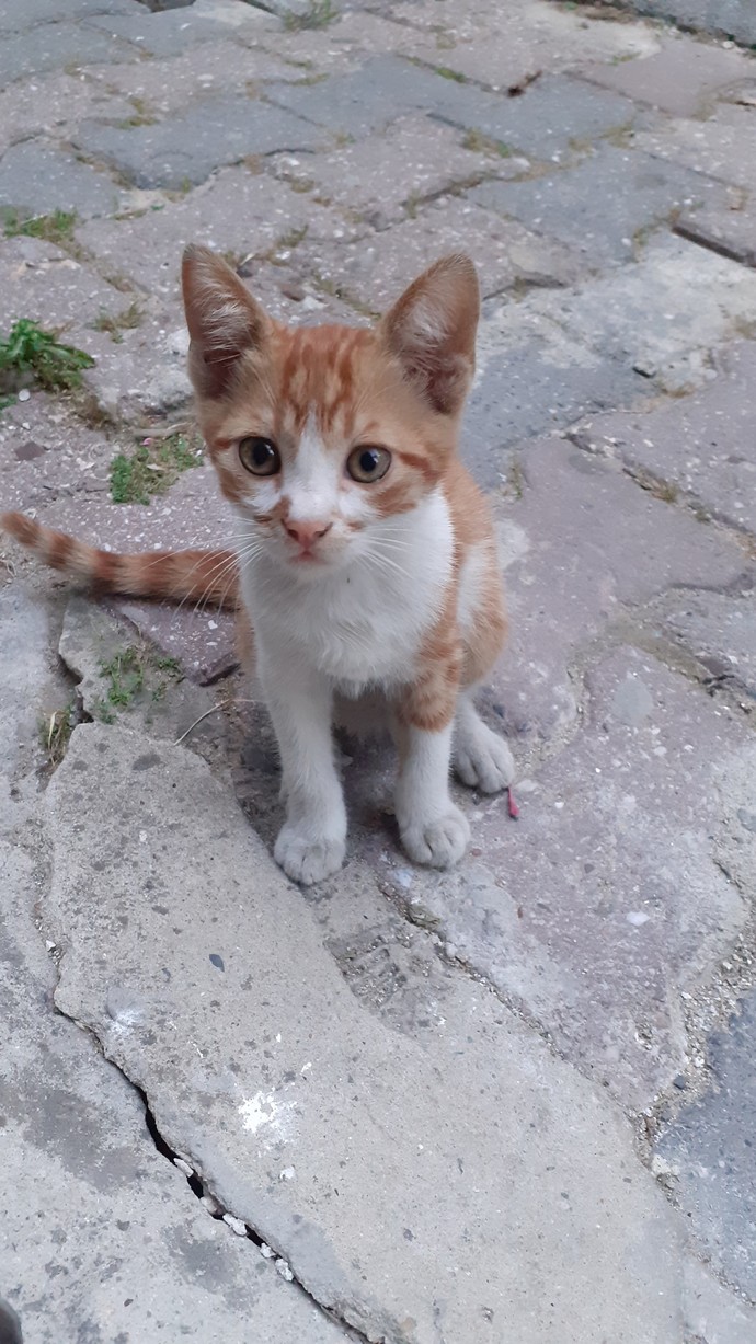 😻😻😻