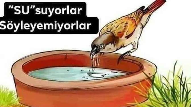 Hayvanları seviyor musun, bugün hayvanlar için ne yaptın?