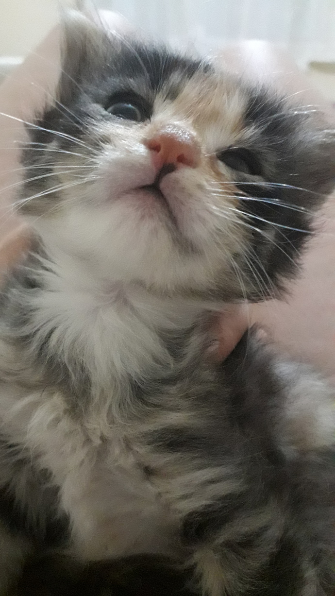 Bebeğim bugün ilk kez mama yedi. Yok mu bir aferin?