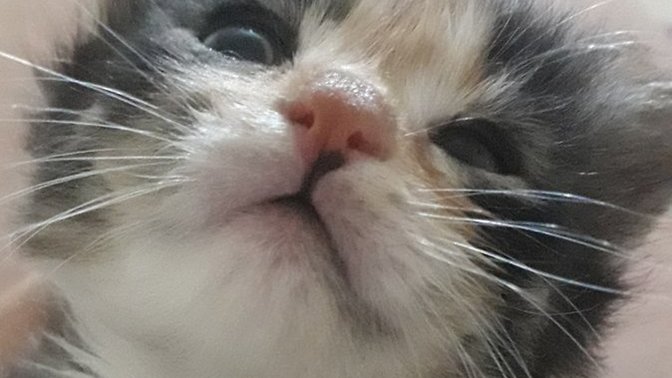 Bebeğim bugün ilk kez mama yedi. Yok mu bir aferin?