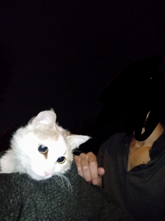 Evcil hayvanlarınız ile çekildiğiniz en güzel fotoğraf hangisi?