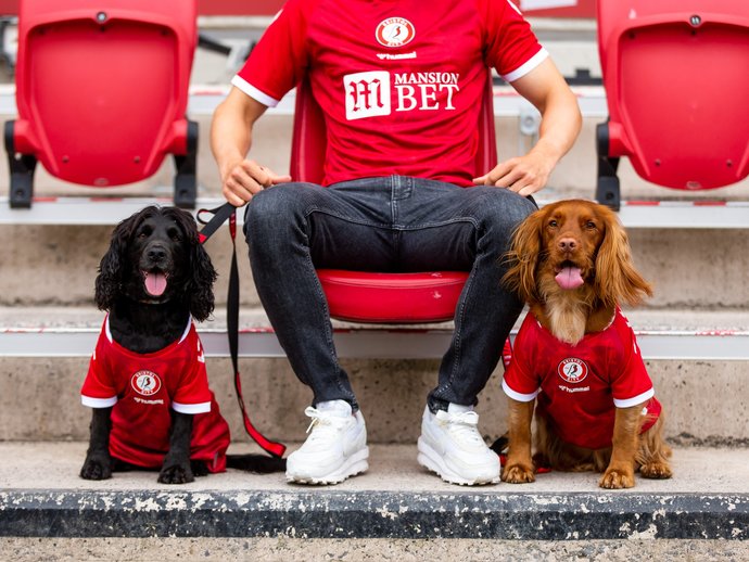 Bristol City, yeni sezon formalarını köpekler üzerinde tanıttı, ne düşünüyorsunuz?