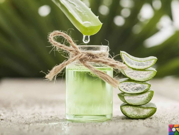 Aloe vera jeli tüylenme yapar mı?