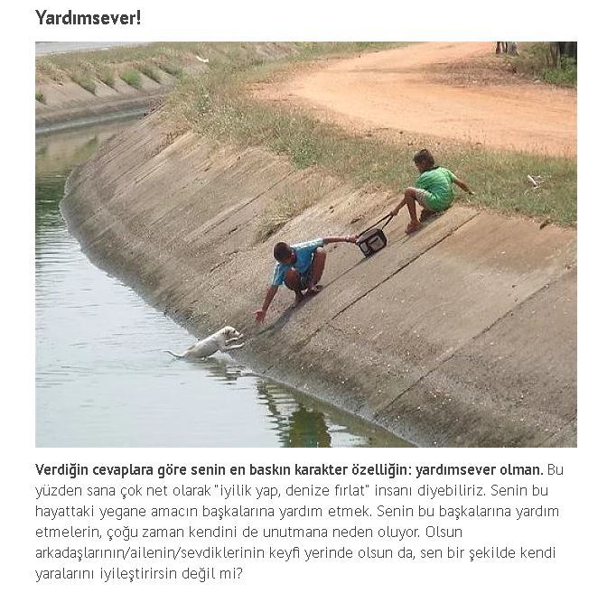 Peki ya sen hangisisin?