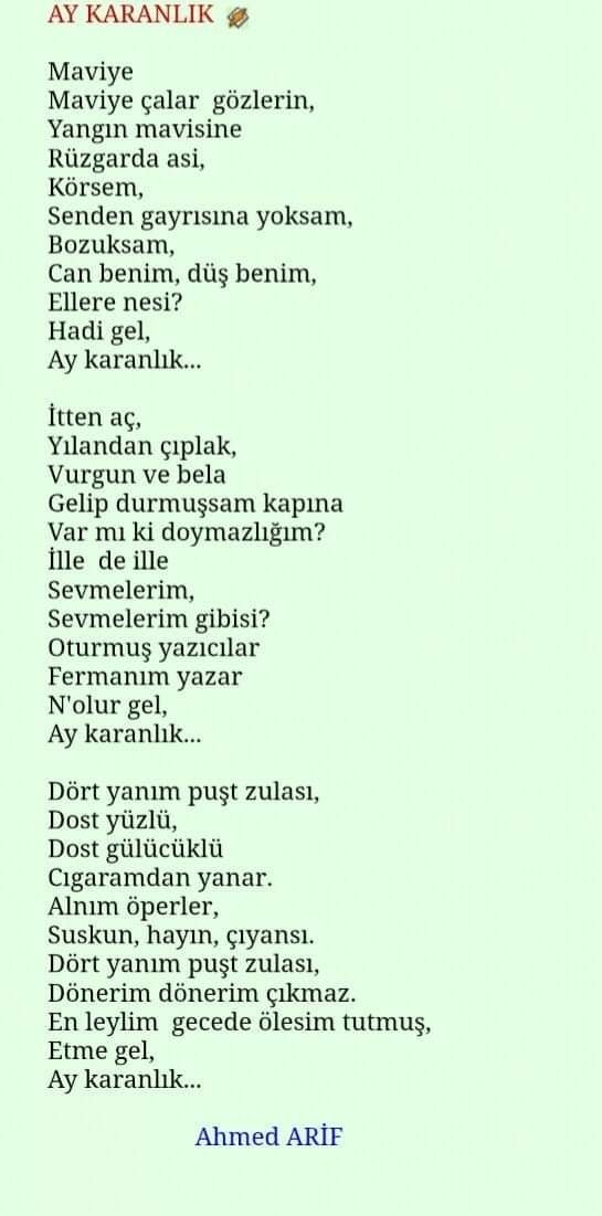 Şiir sever misiniz? En sevdiğiniz şiirden bişeyler yazar mısınız?