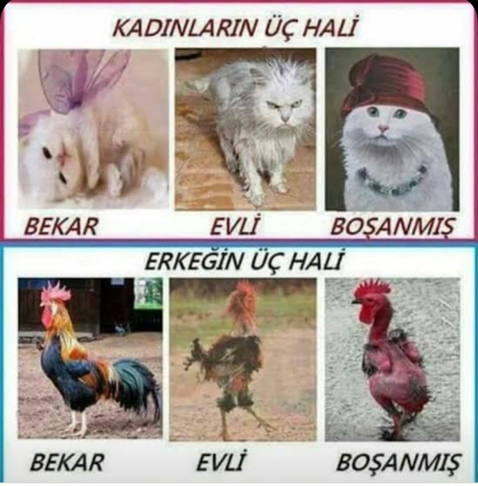 Evlenmeden önce ve evlendikten sonra kadın/erkek değişimi hakkında ne düşünüyorsunuz?