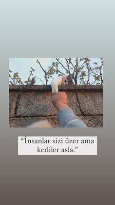 Çok tatlı yaaahğ🥰