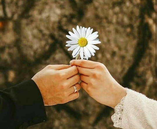 Sizde olan hangi özelliklerin eşinizde de olmasını istersiniz? Nedeni nedir?