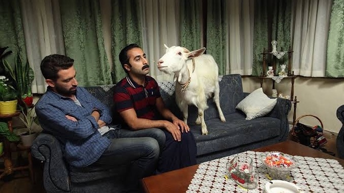 Yerli komedi filmleri sizi güldürebiliyor mu?