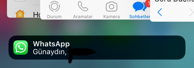 Arkadaşlar Apple kullanıcısıyım son uygulamaları silerken altta yazı çıkıyor ne yapmam lazım?
