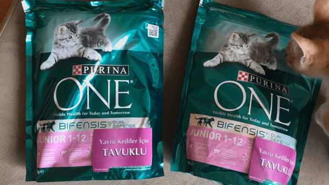Purina One kedi maması nasıl?