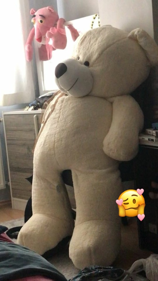 Erkekler niye yalancısınınız? Sevgilim ayılık yaptı affedeyim mi?