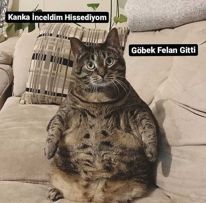 250 gr verince kendinizi incelmiş hissediyor musunuz?