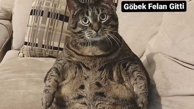 250 gr verince kendinizi incelmiş hissediyor musunuz?
