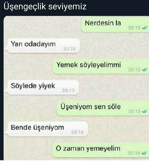 Üşengeçlik seviyeniz nedir şu an?